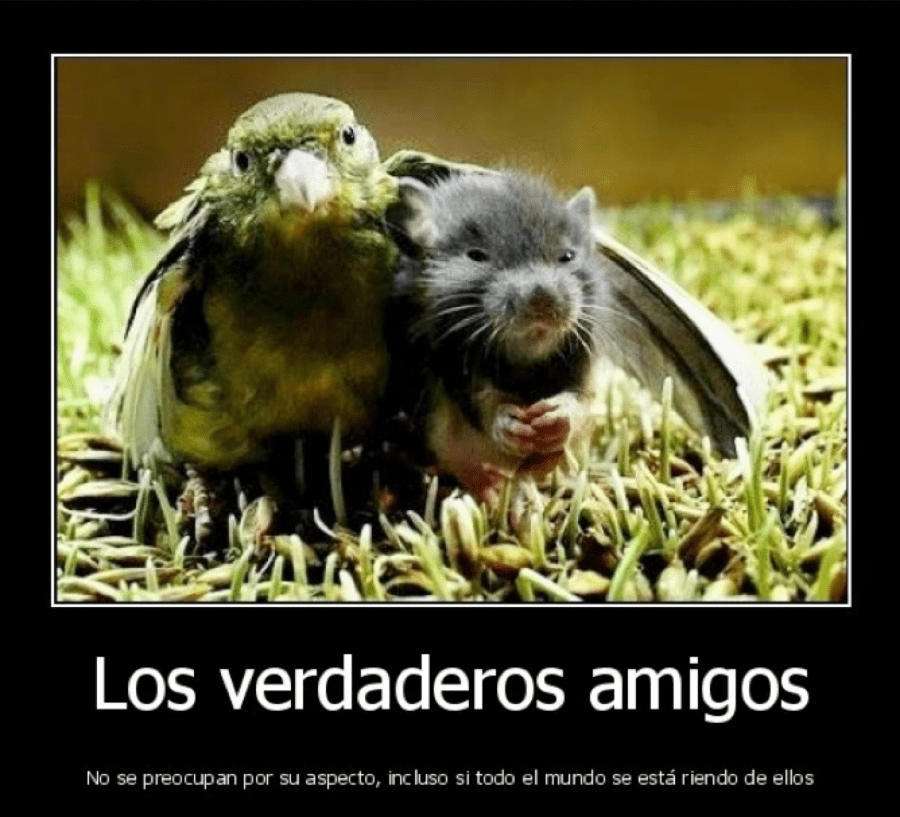 Captura de pantalla 2013-04-25 a la(s) 11.30.30