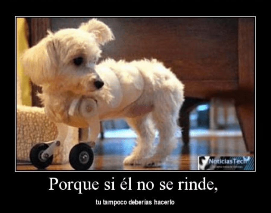 Captura de pantalla 2013-04-25 a la(s) 11.31.47