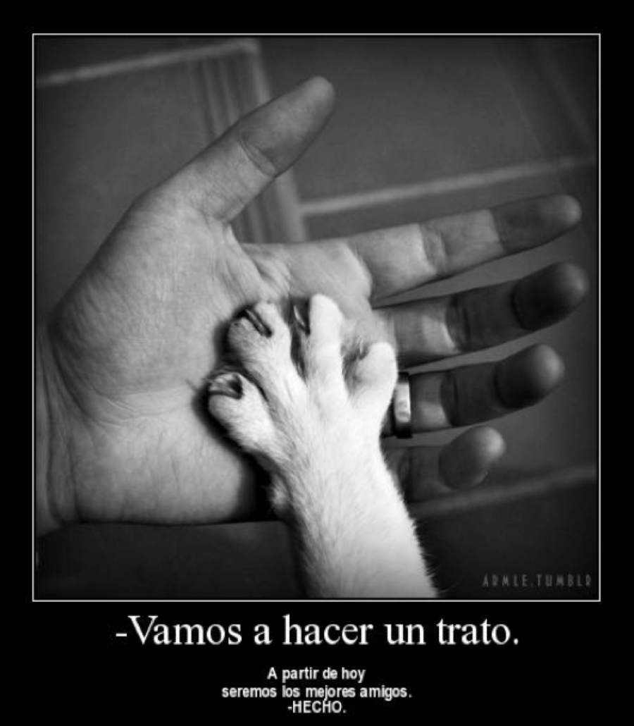 Captura de pantalla 2013-04-25 a la(s) 11.31.23