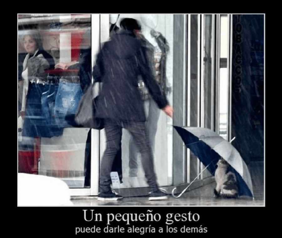 Captura de pantalla 2013-04-25 a la(s) 11.32.57